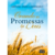 Orando as Promessas de Deus - Arival Dias Casimiro
