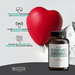 Bloqueando Gorduras - Chitosan 500mg - comprar online