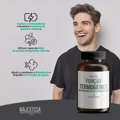 Função Termogênica - Gengibre 500mg - comprar online