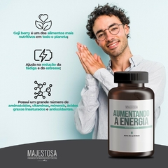 Aumentando a Energia - Goji Berry 500mg - comprar online