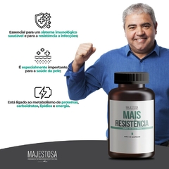 Mais Resistência - Sulfato De Zinco 100mg - comprar online