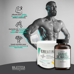 KIT - Creatina 150g + Turkesterona 500mg 60 Cápsulas - comprar online