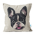 Almofada 40x40 Pet Love Buldogue Francês