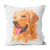 Almofada Decorativa 40x40 Pet Love Golden