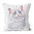 Almofada Decorativa 40x40 Pet Love Gato Ragamuffin