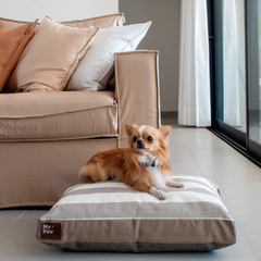 Cama para perros Soft Cooper - MyPaw