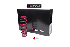 MOLAS VOGTLAND BMW G20 2020 - comprar online