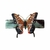 PRESILHA BUTTERFLY - REF 134227