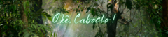 Banner da categoria Caboclos