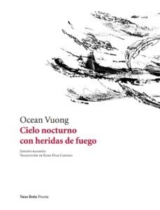 o nocturno con heridas de fuego - Voung Ocean