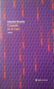 Cuando te vi caer - Sebastián Basualdo