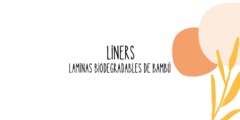 Banner de la categoría Liners