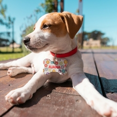 Chapita para Mascota