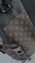 LV Monogram Backpack en internet