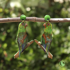 Aretes Periquitos Bronceados (Brotogeris Jugularis)