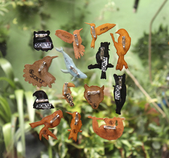 Broche Mosquerito De Yelmo (Lophotriccus pileatus) - comprar online
