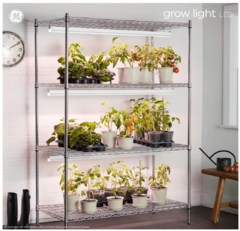 Luz de cultivo LED para plantas - Suculentas Dzityá