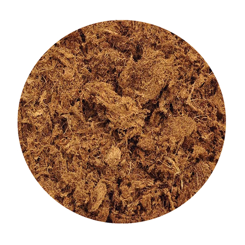 Peat moss