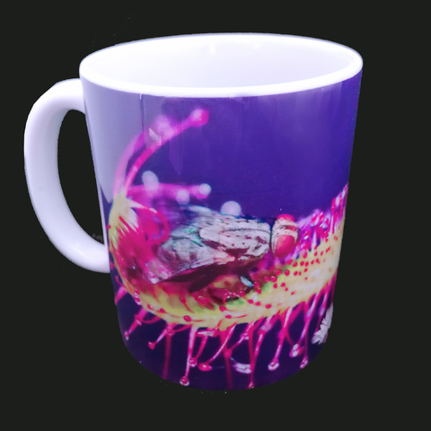 Taza modelo Drosera con mosca