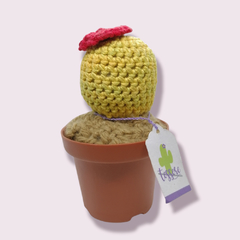 Cactus Crochet con flor