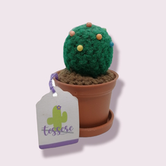 Cactus Crochet chico