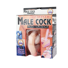 Male Cock & Vagina