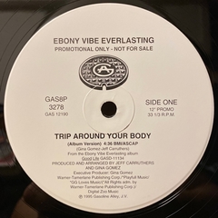 Ebony Vibe Everlasting – Trip Around Your Body