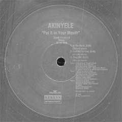 Akinyele – Put It In Your Mouth - comprar online