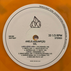 Anelis Assumpção – Sal - Promo Only Djs