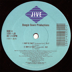 Boogie Down Productions ‎– Why Is That? - Vinil na internet