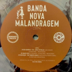 Banda Nova Malandragem – Banda Nova Malandragem na internet