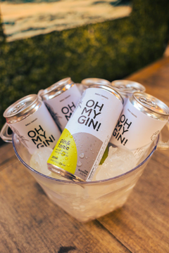 Pack 12 unidades - Gin & Tonic Oh My Gin! 269mL