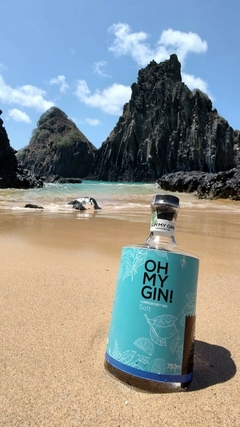 Oh My Gin! London Dry Gin Soft 750mL Edição 02 - comprar online
