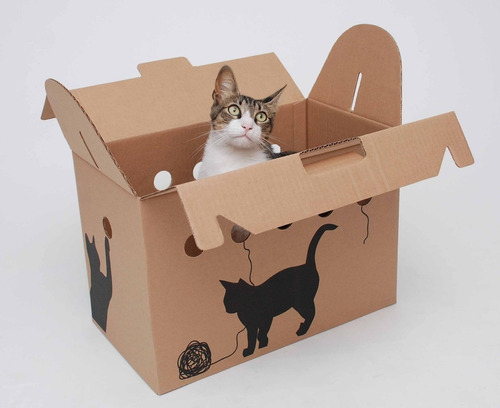 Caja transportadora para gatos