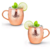 2 Caneca Moscow Mule Cobreada Drink Bar