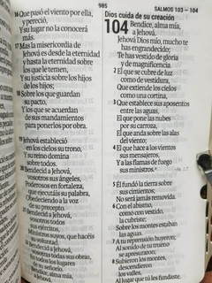 BIBLIA ROSA COMPACTA LETRA GRANDE 