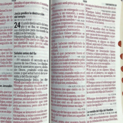 BIBLIA ROSA MARRÓN LETRA GIGANTE CON CIERRE E ÍNDICE (14 PUNTOS) RVR1960