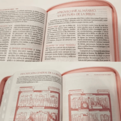 Biblia Rosa Fuente De Bendición Cierre Índice Reina Valera 1960