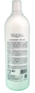 Kit Shampoo E Condicionador Biomask Prohall 2x1000ml - Classical Life