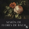 Sesión de Flores de Bach