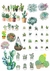 Stickers Cactus plancha A4 - comprar online