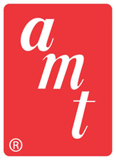 AMT - 1058/12 - 59 Chevy El Camino (original Art Series) - 1/25 - ArtModel Modelismo
