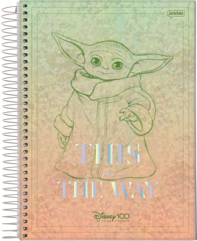 Planner disney 100 jandaia