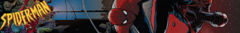 Banner de la categoría Spider-Man