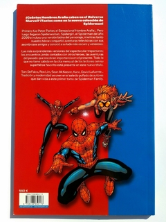 Spiderman Family - comprar online