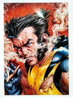 Wolverine 2 - Mini Poster