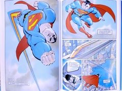 Superman Las Cuatro Estaciones 