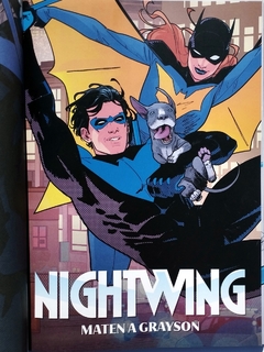 Nightwing Tom Taylor