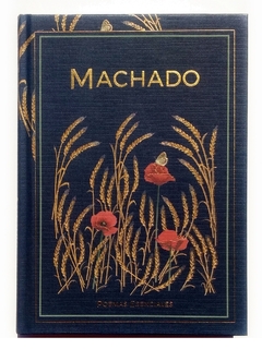 Antonio Machado Poemas Esenciales