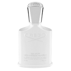 Creed - Silver Mountain Water